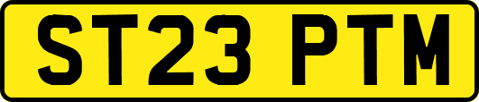 ST23PTM