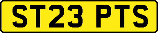ST23PTS
