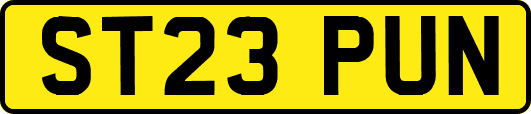 ST23PUN