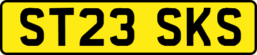 ST23SKS