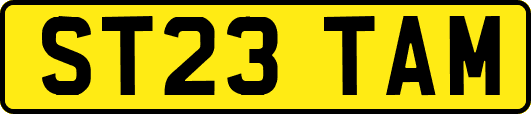 ST23TAM