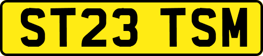 ST23TSM
