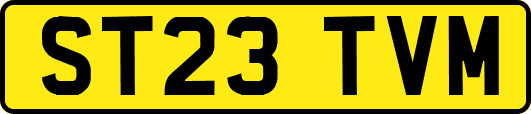 ST23TVM