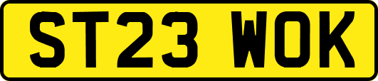 ST23WOK