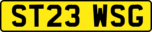 ST23WSG