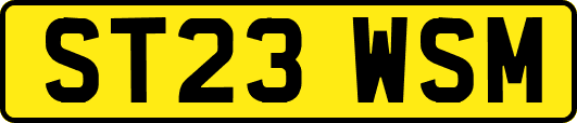 ST23WSM