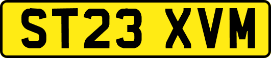 ST23XVM