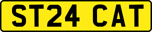 ST24CAT