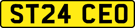 ST24CEO