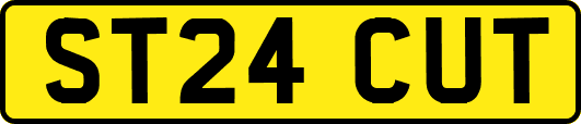 ST24CUT