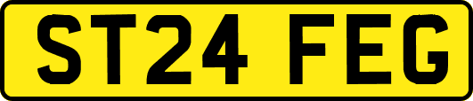 ST24FEG