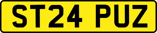 ST24PUZ