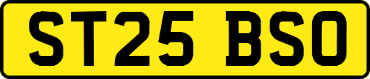 ST25BSO