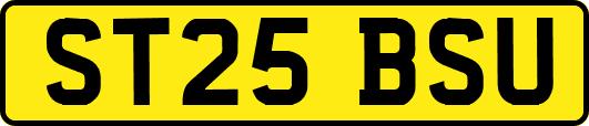 ST25BSU