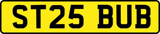 ST25BUB