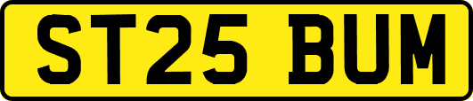 ST25BUM