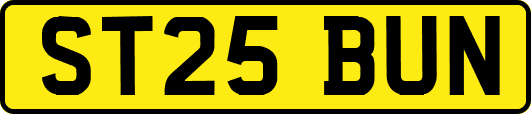 ST25BUN
