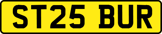 ST25BUR