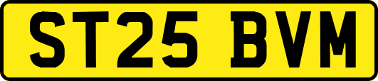 ST25BVM