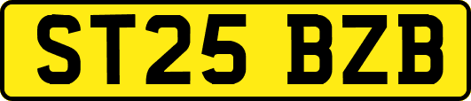 ST25BZB