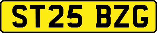 ST25BZG