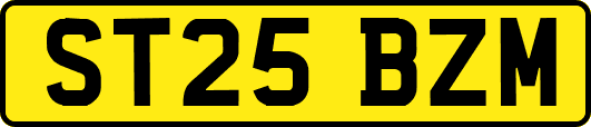 ST25BZM