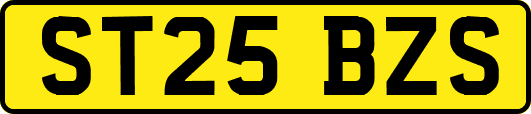 ST25BZS