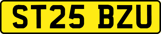 ST25BZU