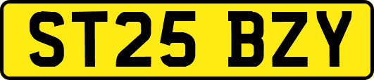 ST25BZY
