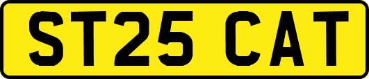 ST25CAT