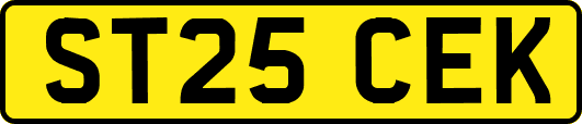 ST25CEK