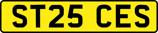 ST25CES