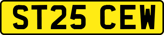 ST25CEW
