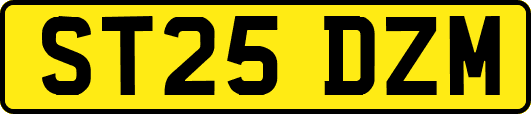 ST25DZM