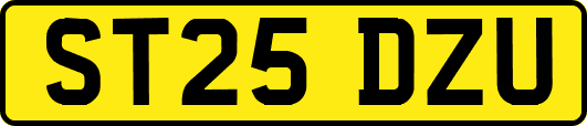 ST25DZU