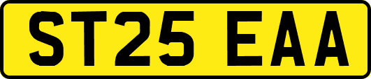 ST25EAA