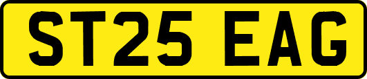 ST25EAG