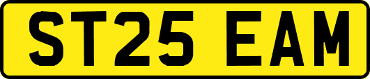 ST25EAM