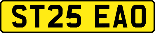 ST25EAO