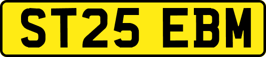 ST25EBM