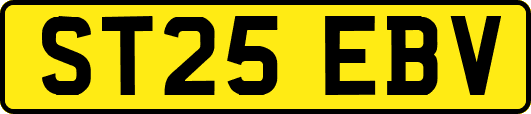 ST25EBV