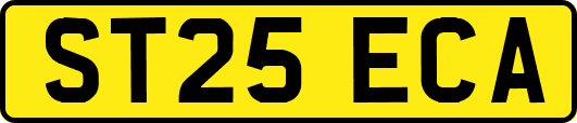 ST25ECA