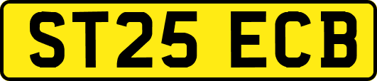 ST25ECB