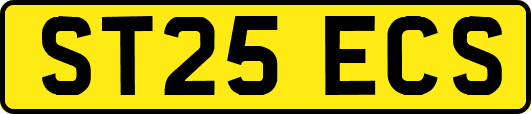 ST25ECS