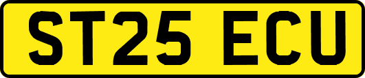 ST25ECU