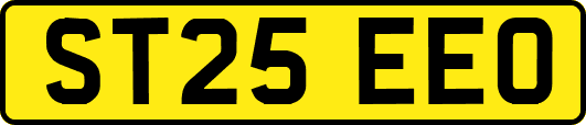 ST25EEO