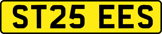ST25EES