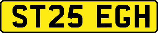ST25EGH
