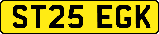 ST25EGK