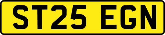 ST25EGN